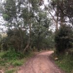 WhatsApp Image 2025-03-07 at 6.32.50 PM (1)