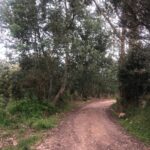 WhatsApp Image 2025-03-07 at 6.32.53 PM (1)