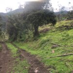 WhatsApp Image 2025-03-07 at 6.32.53 PM