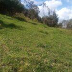 WhatsApp Image 2025-07-26 at 10.22.54 AM