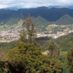 WhatsApp Image 2025-07-26 at 10.24.34 AM