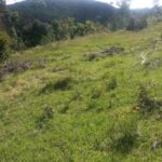 WhatsApp Image 2025-07-26 at 10.25.04 AM (1)