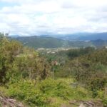 WhatsApp Image 2025-07-26 at 10.25.04 AM