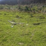 WhatsApp Image 2025-07-26 at 10.25.04 AM (2)