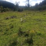 WhatsApp Image 2025-07-26 at 10.25.04 AM (3)